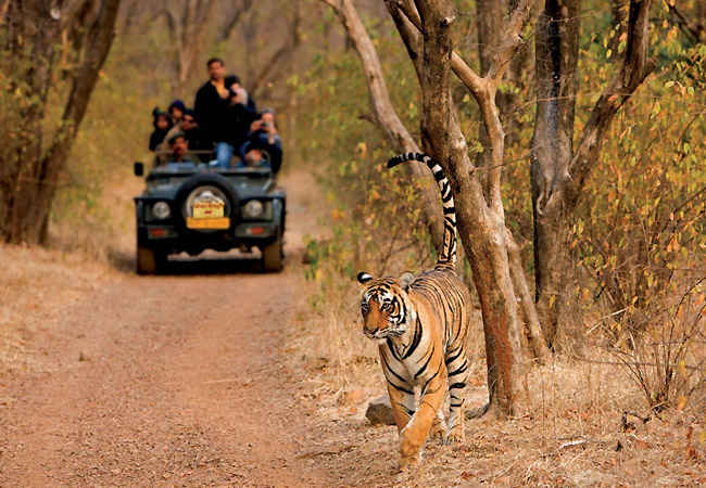 National Parks in India